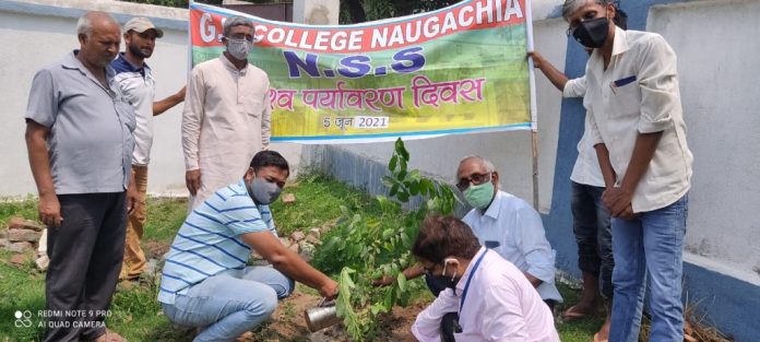 नवगछिया – विश्व पर्यावरण दिवस के अवसर पर G.B कॉलेज में एनएसएस इकाई द्वारा पौधरोपण
