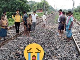 बिहपुर : ट्रेन से गिर कर युवक की मौत