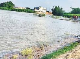 नवगछिया : कलबलिया धार में गंगा नदी का पानी उतरा